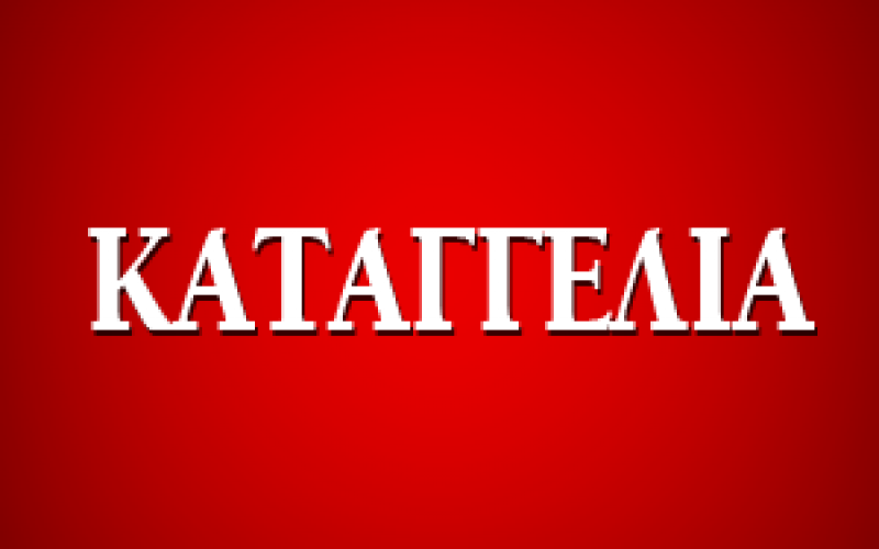 ΚΑΤΑΓΓΕΛΙΕΣ ΕΚΠΑΙΔΕΥΤΙΚΩΝ ΓΙΑ ΚΑΘΥΣΤΕΡΗΣΗ ΜΙΣΘΟΔΟΣΙΑΣ ΣΤΑ ΕΚΠΑΙΔΕΥΤΗΡΙΑ «ΠΑΛΛΑΔΙΟ» ΝΕΑΣ ΣΜΥΡΝΗΣ